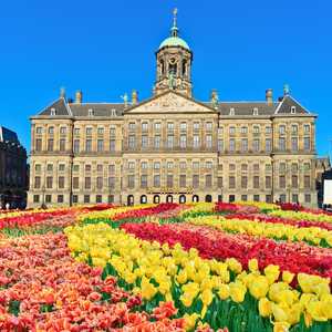 Bezoek Amsterdam vanuit een Hop-On Hop-Off sightseeing bus – Verken monumenten en attracties in 2026 Stap in de bus met open dak in Amsterdam, Nederland – Ontdek topattracties, monumenten en verborgen parels met een Hop-On Hop-Off tour in 2026