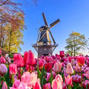 Ontdek Amsterdam met Hop-On Hop-Off bustours – Sightseeing op maat in 2026 Verken Amsterdam op je eigen tempo met Hop-On Hop-Off bustours – Panoramisch uitzicht, audiogidsen en onbeperkt stoppen in 2026