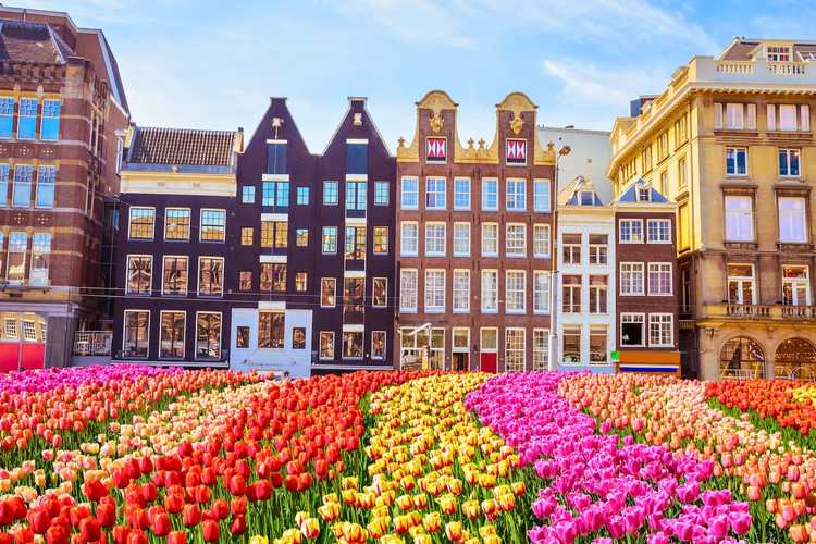 Amsterdam Beste Sightseeing Bustours – Flexibele tickets, meerdere routes en must-see attracties van Amsterdam in 2026 Top sightseeing bustours in Amsterdam, Nederland – Populaire bezienswaardigheden, verborgen parels en panoramisch uitzicht op Amsterdam in 2026